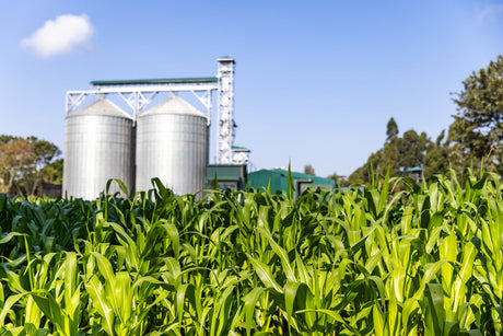 Grain silos