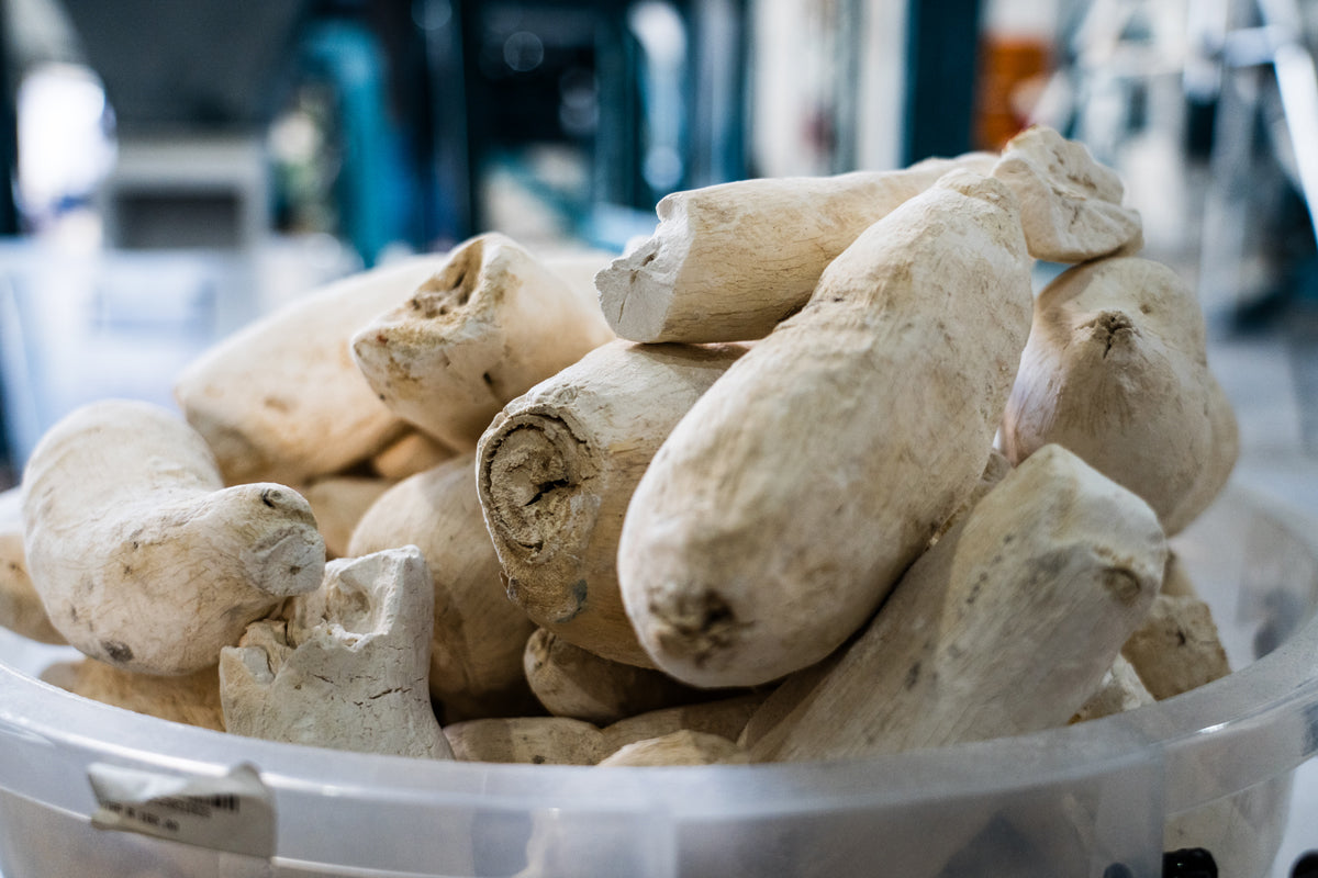 Cassava Hammer mill system | 500 - 750kg/hour