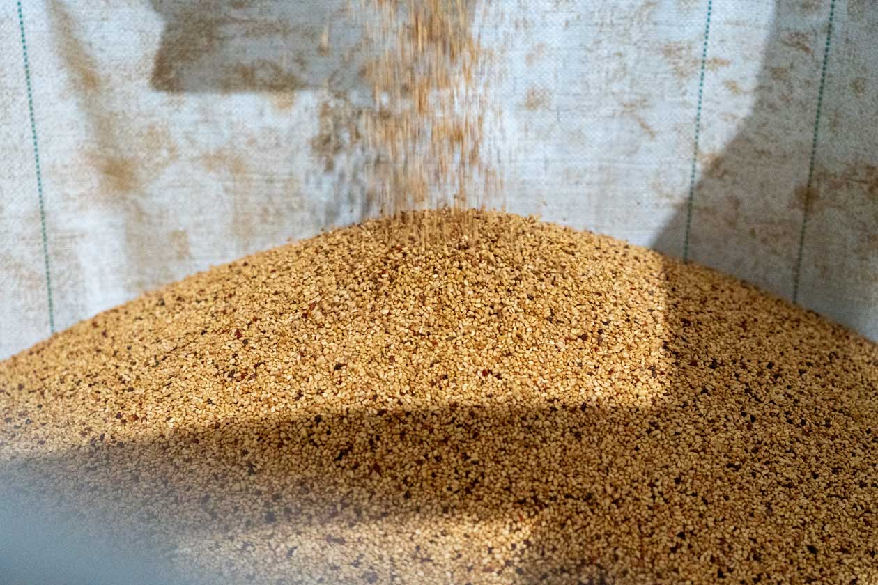 Rosehip processed seeds