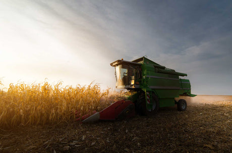 Maize Production in Kenya