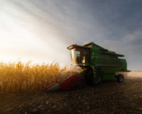 Market Overview: Maize Production in Kenya