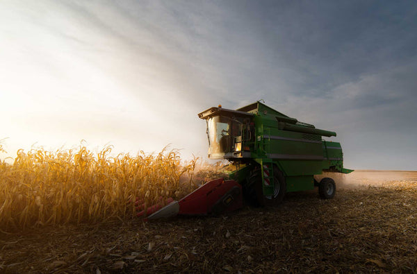 Market Overview: Maize Production in Kenya