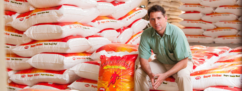 The practicalities of starting a maize milling business