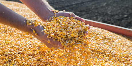 Roff Industries helps to set milling industry standards