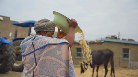 Community Milling success stories from Lesotho