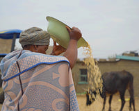 Community Milling success stories from Lesotho