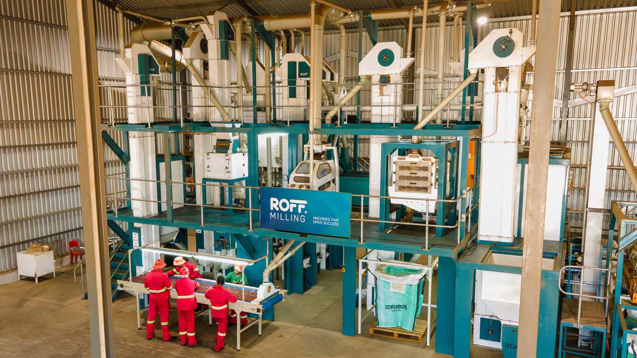 Rooibos Ltd implements Roff solution to enter Rosehip market
