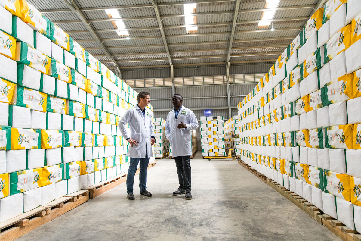 Buffalo Millers: A Kenyan Success Story