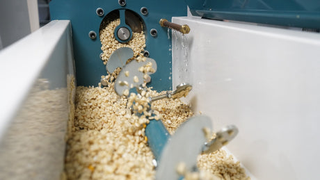 Maize Milling