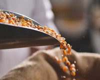 How maize kernel hardness affects extraction rates: Part 1