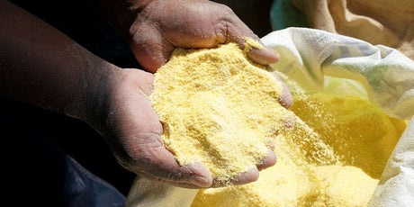 Yellow Maize Meal