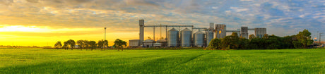 Maize Mill