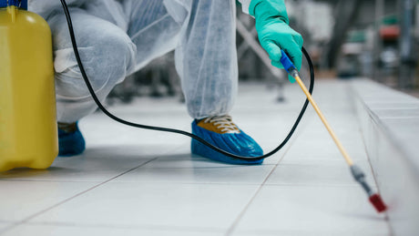 Spraying for pests
