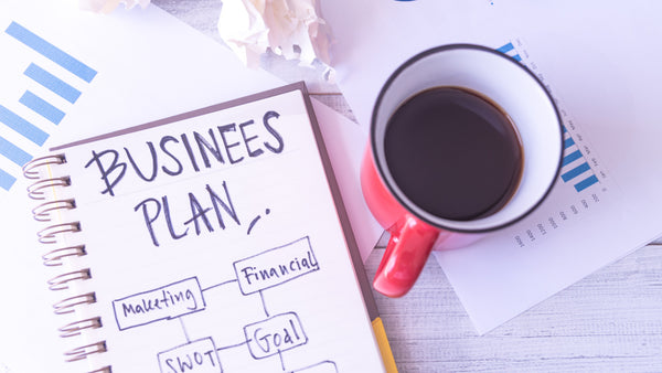Writing a business plan for a new vs established business