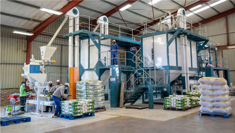 Roff Commercial Turn Key Maize Milling
