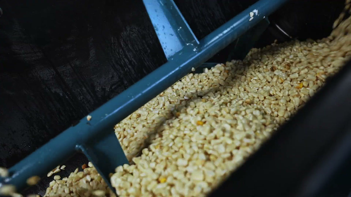 Paddles of the Roff 70-litre horizontal batch mixer lifting and mixing maize