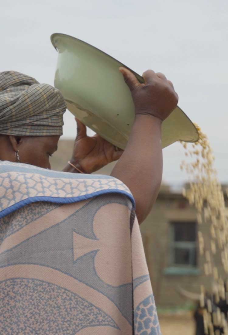 Posho miller client cleaning her maize before milling