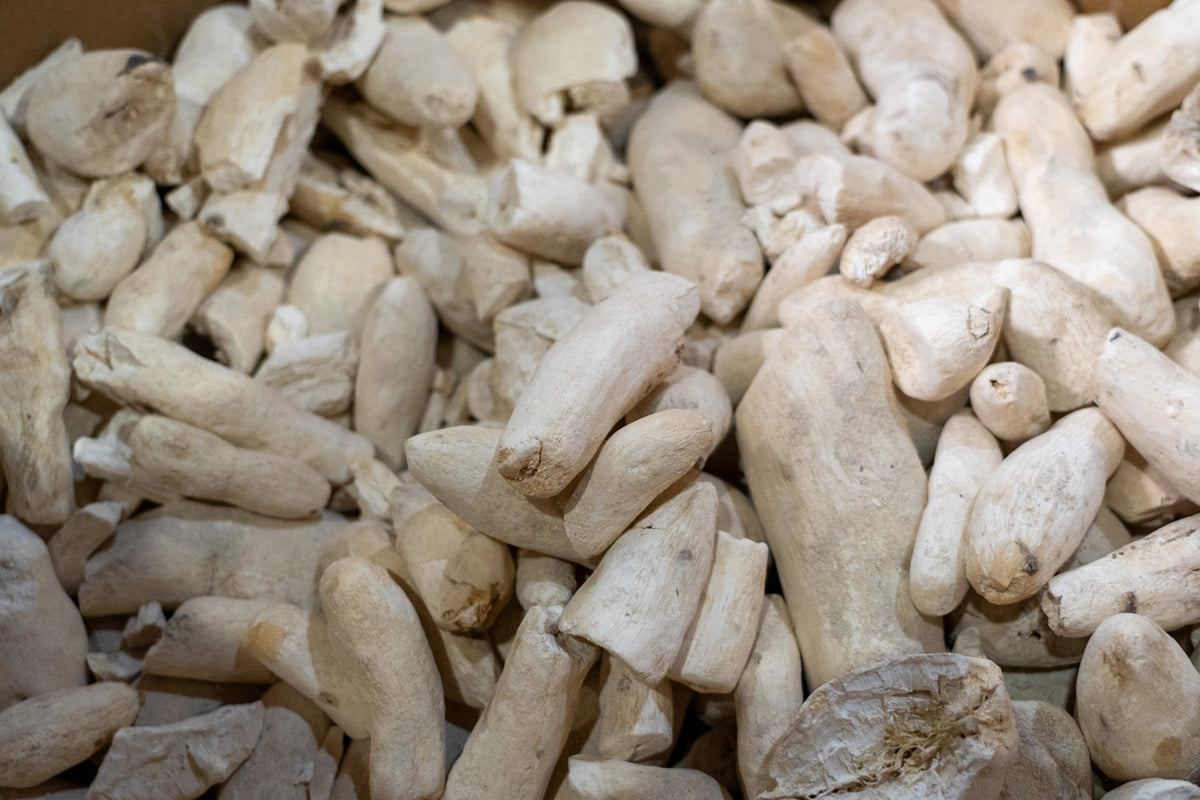 Cassava Hammer mill system | 500 - 750kg/hour