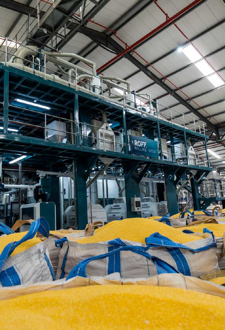 Roff C-80 maize mill