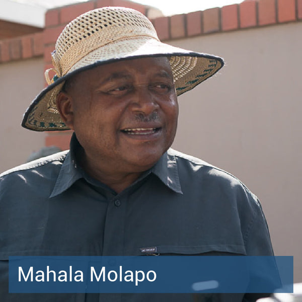 Mahala Molapo