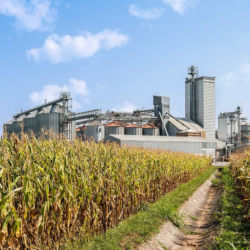 Grain silos with maize fields in the foreground