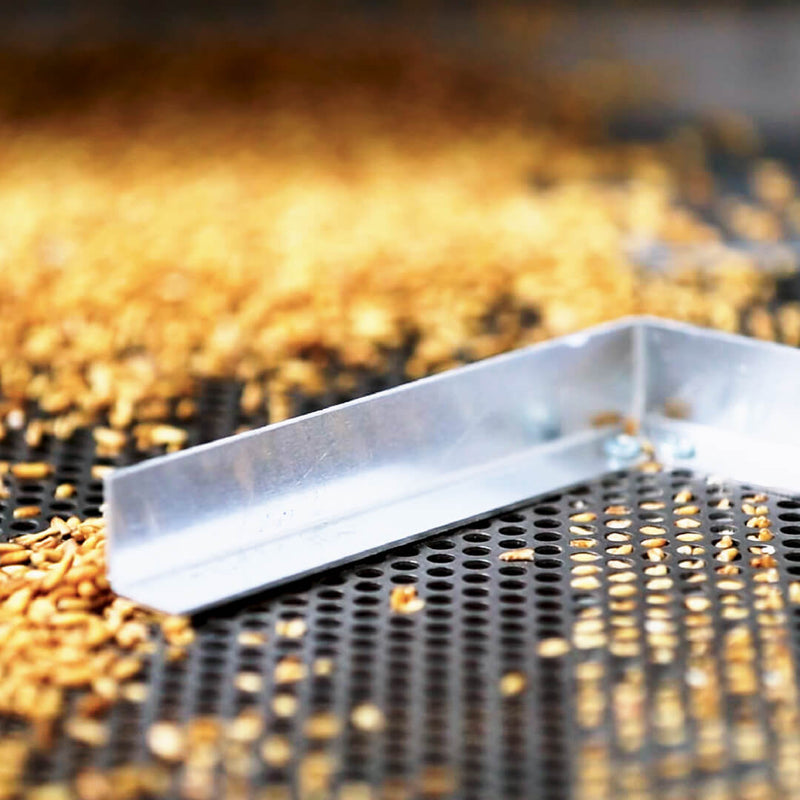 Grain processing