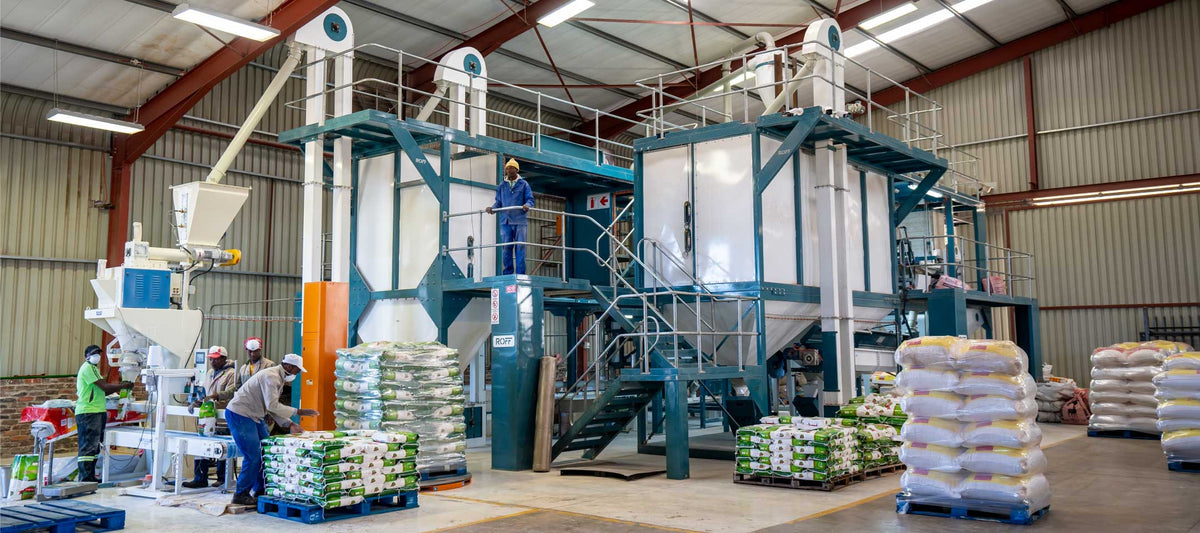 Roff R-70 maize mill in action