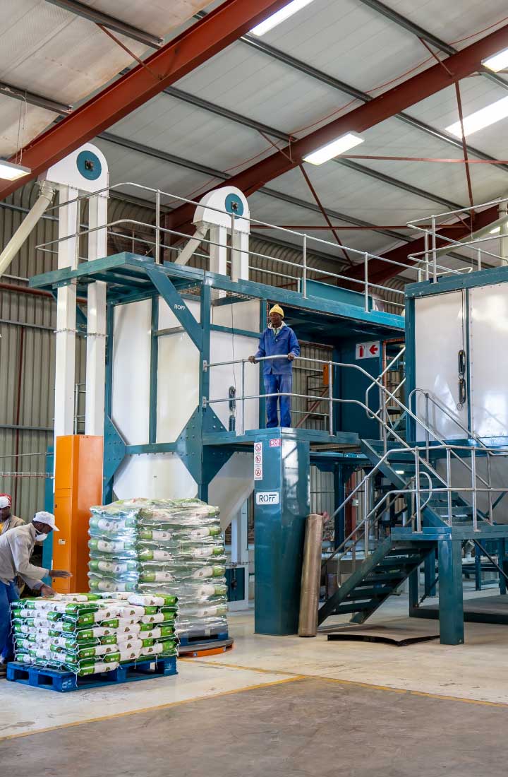 Roff R-70 maize mill in action