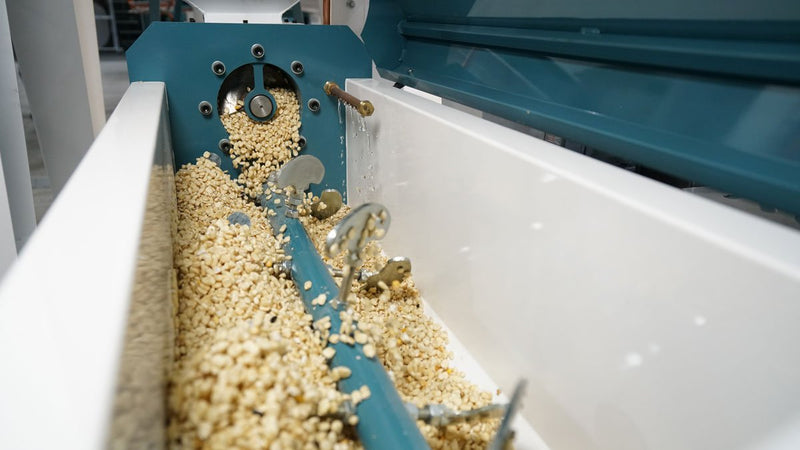 Conditioning conveyor | 2m | up to 5000kg/hour | Maize