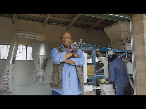 Posho Maize Milling Machine | Roller Mill | 750kg/hour | Community Milling